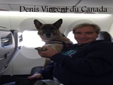 Denis Vincent Helicopter Pilote, Calgary