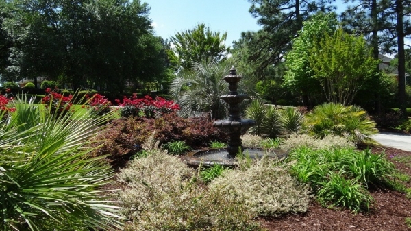 Southeastern Elgin SC New Album of Crabtree Garden Center & Landscaping 10501 Two Notch Rd - Photo 3 of 3