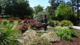 Southeastern Elgin SC, Crabtree Garden Center & Landscaping, Elgin