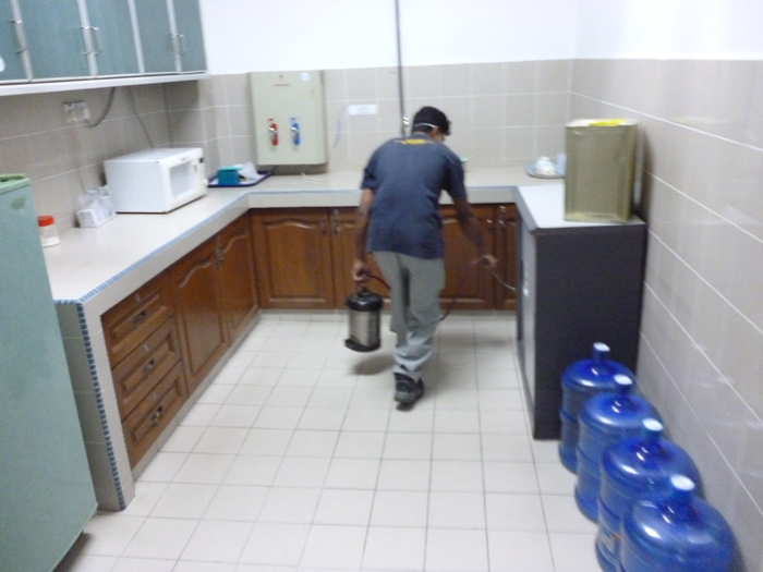 Pest Control Elstree Profile Photos of Pest Control Elstree 2d Station Rd - Photo 4 of 4