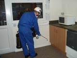 Pest Control Elstree, Pest Control Elstree, Borehamwood