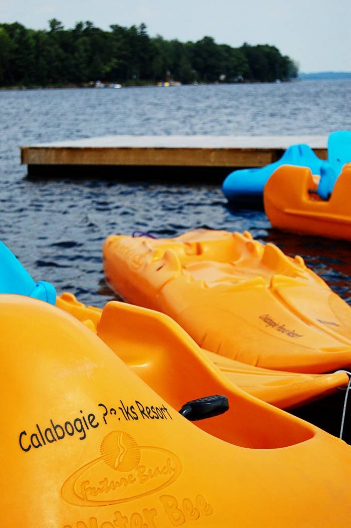  Profile Photos of Calabogie Peaks Resort & Conference Centre 30 Barrett Chute Rd - Photo 44 of 82