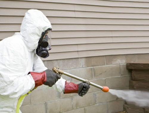  Profile Photos of Pest Control Sutton 7 Wellesley Road - Photo 3 of 3