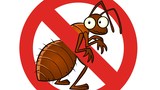  Pest Control Sutton 7 Wellesley Road 