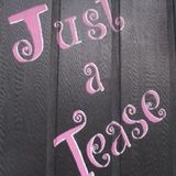 Just A Tease Hair Salon, Troy