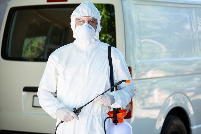 Pest Control Swanley Profile Photos of Pest Control Swanley 60 Station Road - Photo 2 of 4
