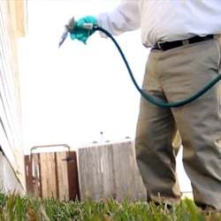 Pest Control Swanley Profile Photos of Pest Control Swanley 60 Station Road - Photo 3 of 4