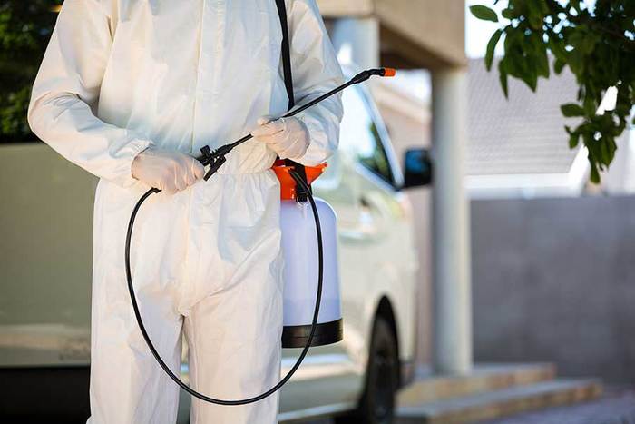 Pest Control Swanley Profile Photos of Pest Control Swanley 60 Station Road - Photo 4 of 4