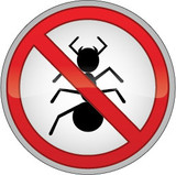 Pest Control Swanley, Pest Control Swanley, Swanley