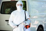 Pest Control Swanley, Pest Control Swanley, Swanley