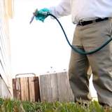 Pest Control Swanley, Pest Control Swanley, Swanley
