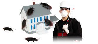  Profile Photos of Pest Control Thames Ditton 110 Longmead Road - Photo 2 of 4