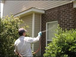  Profile Photos of Pest Control Thames Ditton 110 Longmead Road - Photo 4 of 4