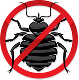 Pest Control Thames Ditton, Thames Ditton