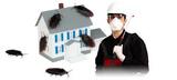Pest Control Thames Ditton, Thames Ditton