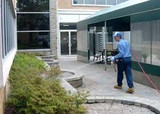 Pest Control Bromley, Pest Control Bromley, Bromley