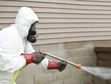 Pest Control Wheathampstead, Wheathampstead