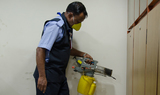 Pest Control Wheathampstead, Wheathampstead