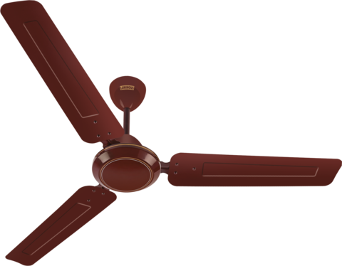  Profile Photos of Ceiling Fans Young Retail, B 921, Green Field Colony, Sector 43 - Photo 1 of 1