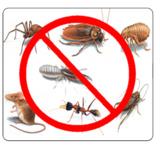  Pest Control Westerham 70d Atterbury Close 