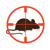 Pest Control Westerham, Westerham