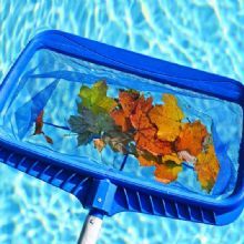  Profile Photos of Champions Pool Repair & Service 4676 Louetta Rd - Photo 2 of 5