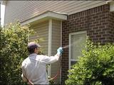 Pest Control Romford, Romford