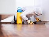 Pest Control Romford, Romford
