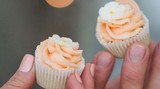  Minibites Cupcakes 11606 69 St NW 