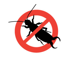  Profile Photos of Pest Control Bermondsey 161 Wilson Gr - Photo 1 of 1