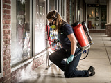 Pest Control Greenwich, Greenwich