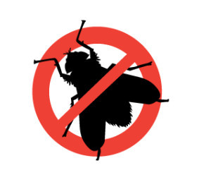  Profile Photos of Pest Control Hackney 39 Amhurst Road - Photo 1 of 1