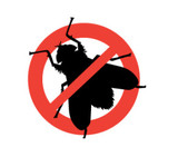 Pest Control Hackney, Hackney