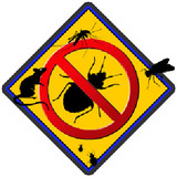 Pest Control Bethnal Green, Pest Control Bethnal Green, Bethnal Green