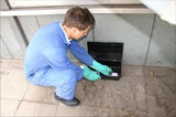 Pest Control Bethnal Green, Pest Control Bethnal Green, Bethnal Green