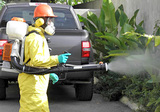 Pest Control Enfield, Enfield