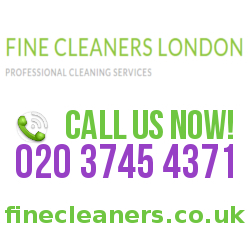  Profile Photos of Fine Cleaners London 108 Leslie Road - Photo 1 of 1