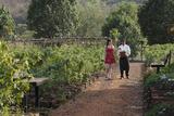 Nutritional Assessment at Hilton Shillim Estate Retreat & Spa Hilton Shillim Estate Retreat & Spa Pawana Nagar, Taluka Maval 