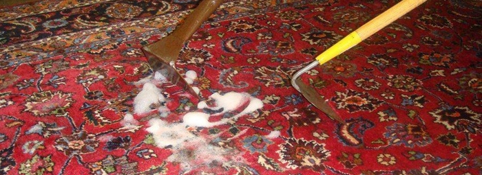  Profile Photos of Shenasi Carpet 1165 West 15th Street - Photo 3 of 11