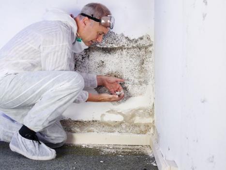  Profile Photos of My Mold Removal NYC 1632 First Avenue Unit #325 - Photo 4 of 4