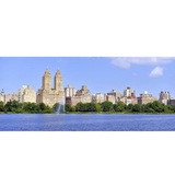 My Mold Removal NYC, New York