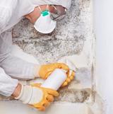 My Mold Removal NYC, New York