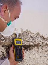 My Mold Removal NYC, New York