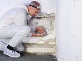 My Mold Removal NYC, New York