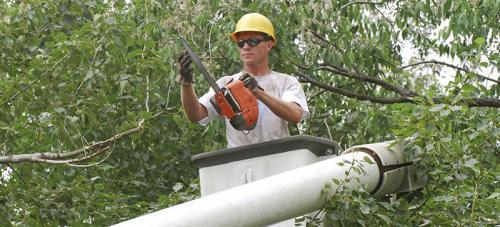  Profile Photos of All Around Tree Care 10712 West State Highway 36 - Photo 1 of 4