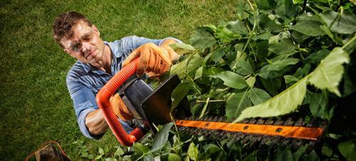  Profile Photos of All Around Tree Care 10712 West State Highway 36 - Photo 4 of 4