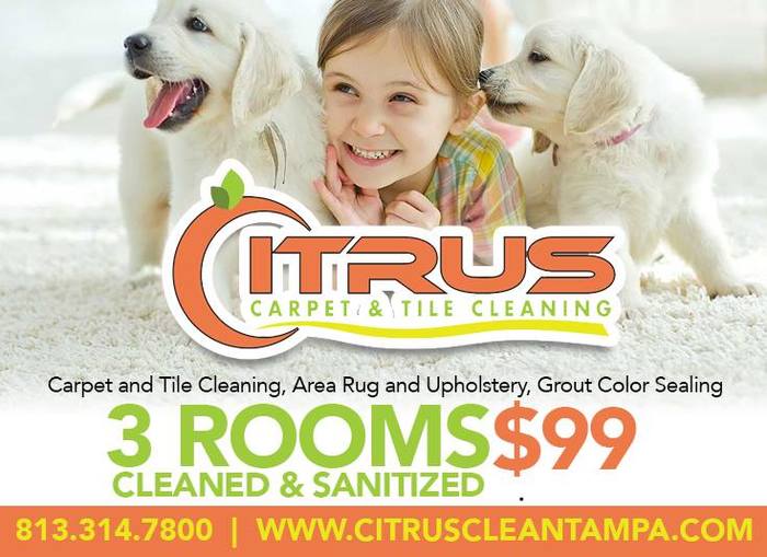  New Album of Citrus Carpet and Tile Cleaning 10911 Elliot Street - Photo 7 of 7