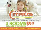 Citrus Carpet and Tile Cleaning, Riverview