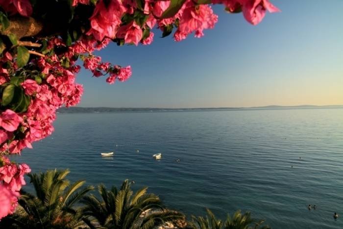 Pogled na Jadransko more Profile Photos of Villa Palms-Beach accommodation by Split Grljevacka 88 - Photo 13 of 35