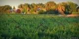 African Vineyard Guest House, Kanoneiland